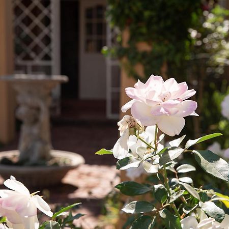 Roses And Pebbles B & B Guest House Klerksdorp Εξωτερικό φωτογραφία